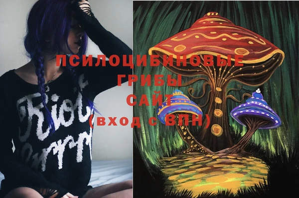 дмт Богородицк
