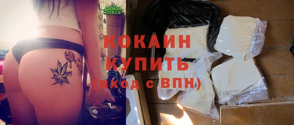 дмт Богородицк