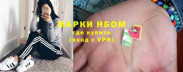 дмт Богородицк