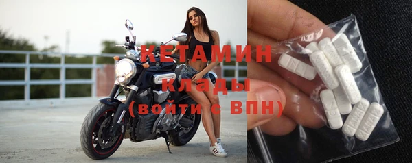 гашик Богданович