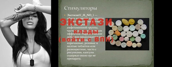 дмт Богородицк