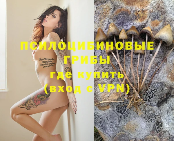 MESCALINE Богородск