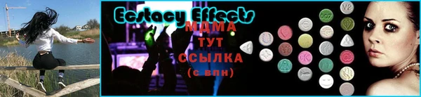 дмт Богородицк