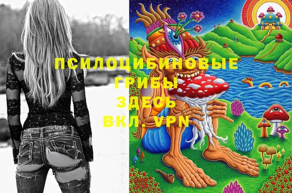 дмт Богородицк