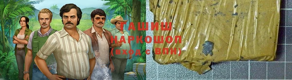 дмт Богородицк