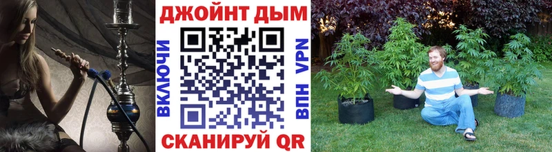 Купить закладки  Оленегорск  Шишки марихуана гибрид 